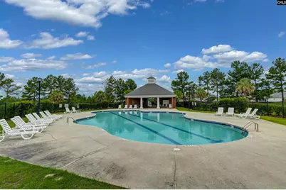 238 Longtown Place Drive, Columbia, SC 29229 - Photo 21
