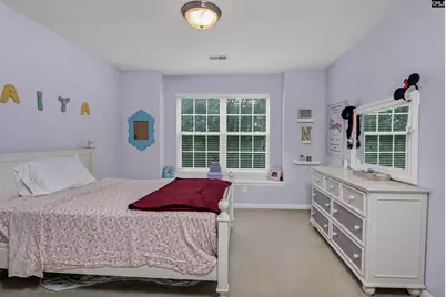 238 Longtown Place Drive, Columbia, SC 29229 - Photo 11