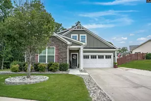 721 Xander Wy, Chapin, SC 29036 - Photo 3