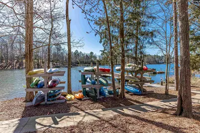 721 Xander Way, Chapin, SC 29036 - Photo 49