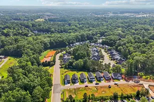 107 Locomotive Ln, Irmo, SC 29063 - Photo 35