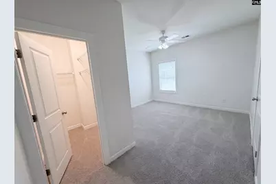 621 Gaelens Lane, Irmo, SC 29063 - Photo 27
