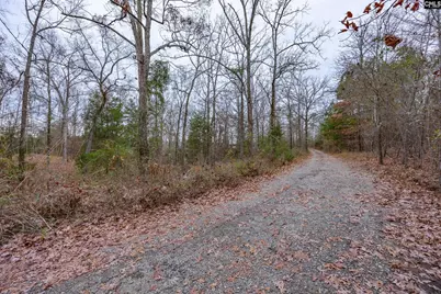 151 Harrison Hill Court, Gilbert, SC 29054 - Photo 43
