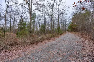151 Harrison Hill Ct, Gilbert, SC 29054 - Photo 43