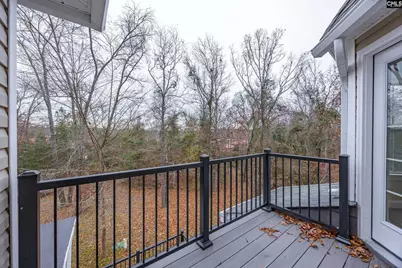 151 Harrison Hill Court, Gilbert, SC 29054 - Photo 29