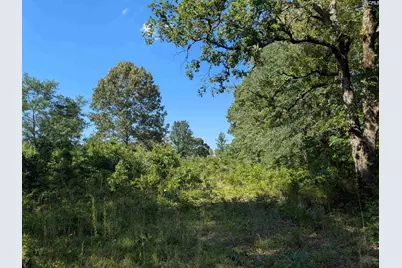 Hound Hollow Road, Camden, SC 29020 - Photo 7
