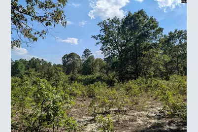 Hound Hollow Road, Camden, SC 29020 - Photo 5