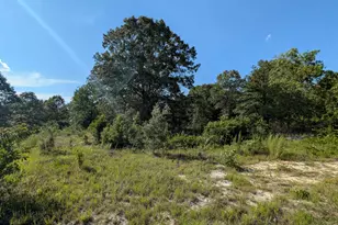 Hound Hollow Rd, Camden, SC 29020 - Photo 1