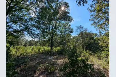 Hound Hollow Road, Camden, SC 29020 - Photo 11