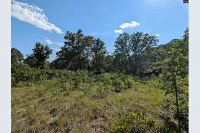 Hound Hollow Road, Camden, SC 29020 - Photo 19