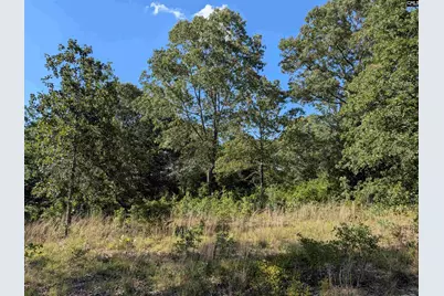 Hound Hollow Road, Camden, SC 29020 - Photo 3