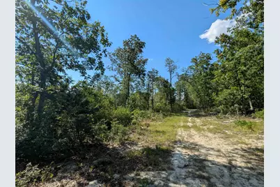 Hound Hollow Road, Camden, SC 29020 - Photo 17
