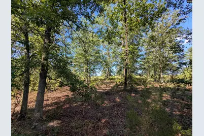 Hound Hollow Road, Camden, SC 29020 - Photo 15