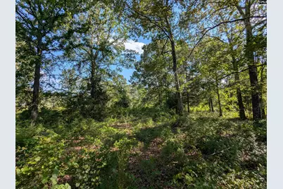 Hound Hollow Road, Camden, SC 29020 - Photo 21