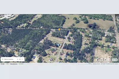 1109 Trading Post Road, Blythewood, SC 29016 - Photo 3