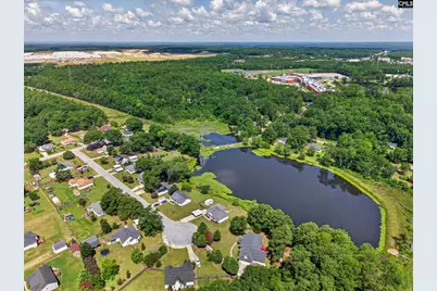5 Dawson Pond Court, Blythewood, SC 29016 - Photo 7