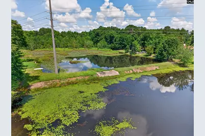 5 Dawson Pond Court, Blythewood, SC 29016 - Photo 3