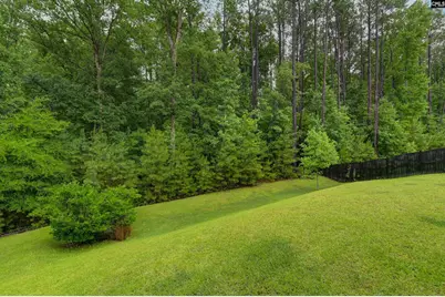 238 Wading Bird Loop, Blythewood, SC 29016 - Photo 53
