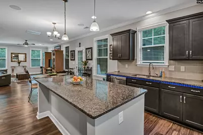 238 Wading Bird Loop, Blythewood, SC 29016 - Photo 19
