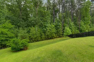 238 Wading Bird Loop, Blythewood, SC 29016 - Photo 51