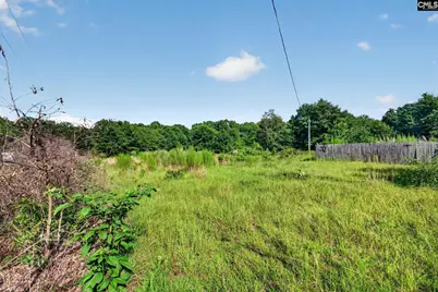 948 Peach Festival Road, Gilbert, SC 29054 - Photo 25