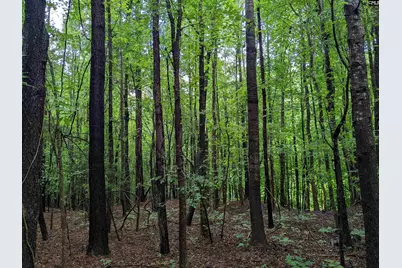 Lockhart Highway, Union, SC 29379 - Photo 5