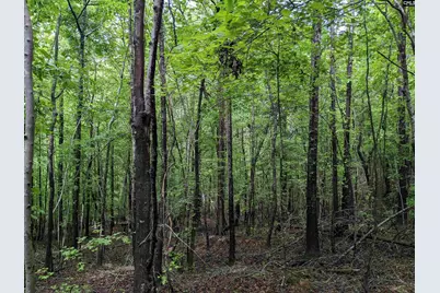 Lockhart Highway, Union, SC 29379 - Photo 25