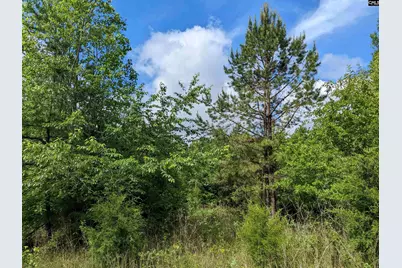 Lockhart Highway, Union, SC 29379 - Photo 11