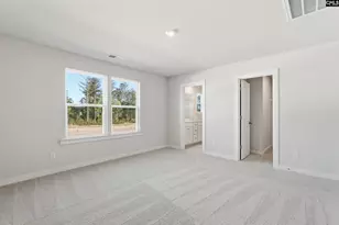 3069 Hanging Valley Rd, Blythewood, SC 29016 - Photo 29