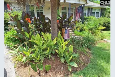 132 Backman Street, Lexington, SC 29072 - Photo 5