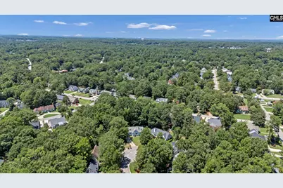 225 Shawn Court, Irmo, SC 29063 - Photo 27