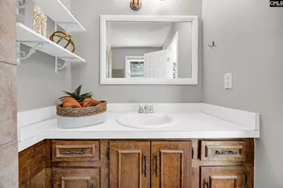 225 Shawn Court, Irmo, SC 29063 - Photo 17