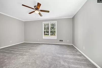 225 Shawn Court, Irmo, SC 29063 - Photo 15