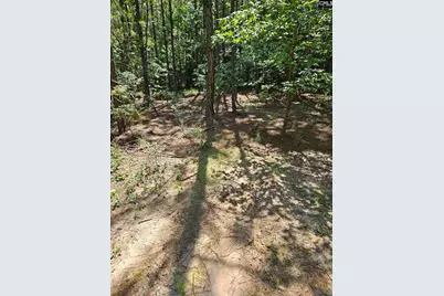 00 Cypress Drive 0, Winnsboro, SC 29180 - Photo 1