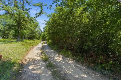Borden Road, Rembert, SC 29128 - Photo 3