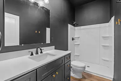 453 Bryan Street, Leesville, SC 29070 - Photo 35