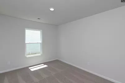 807 Red Berry Lane, Gilbert, SC 29054 - Photo 19