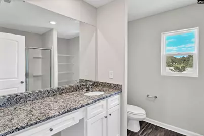 807 Red Berry Lane, Gilbert, SC 29054 - Photo 15