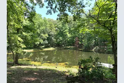130 Pinewood Drive, Chapin, SC 29036 - Photo 55