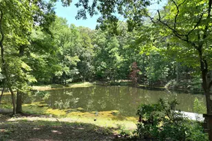130 Pinewood Dr, Chapin, SC 29036 - Photo 55