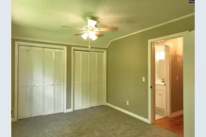 130 Pinewood Drive, Chapin, SC 29036 - Photo 43