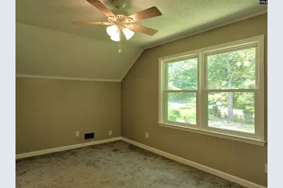 130 Pinewood Drive, Chapin, SC 29036 - Photo 39