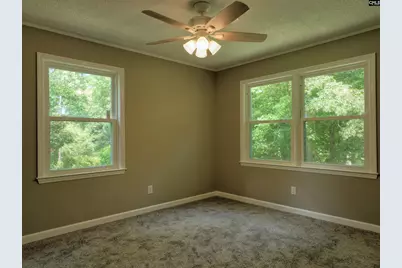 130 Pinewood Drive, Chapin, SC 29036 - Photo 49