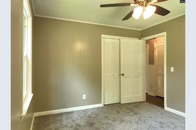 130 Pinewood Drive, Chapin, SC 29036 - Photo 47