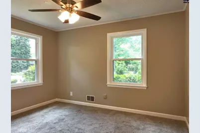 130 Pinewood Drive, Chapin, SC 29036 - Photo 43