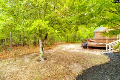 11 Hilltopper Court, Blythewood, SC 29016 - Photo 27