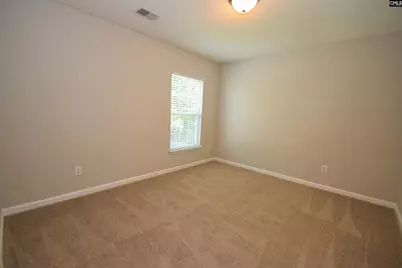 125 Baltic Court, Chapin, SC 29036 - Photo 45
