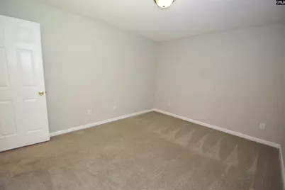 125 Baltic Court, Chapin, SC 29036 - Photo 41