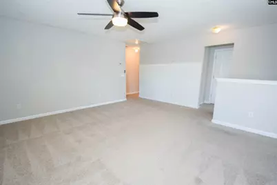 125 Baltic Court, Chapin, SC 29036 - Photo 25