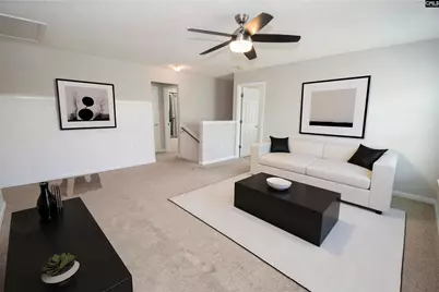 125 Baltic Court, Chapin, SC 29036 - Photo 19